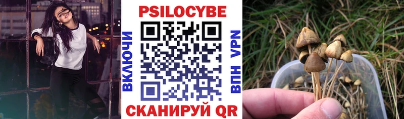 Псилоцибиновые грибы мухоморы Купить Новоржев